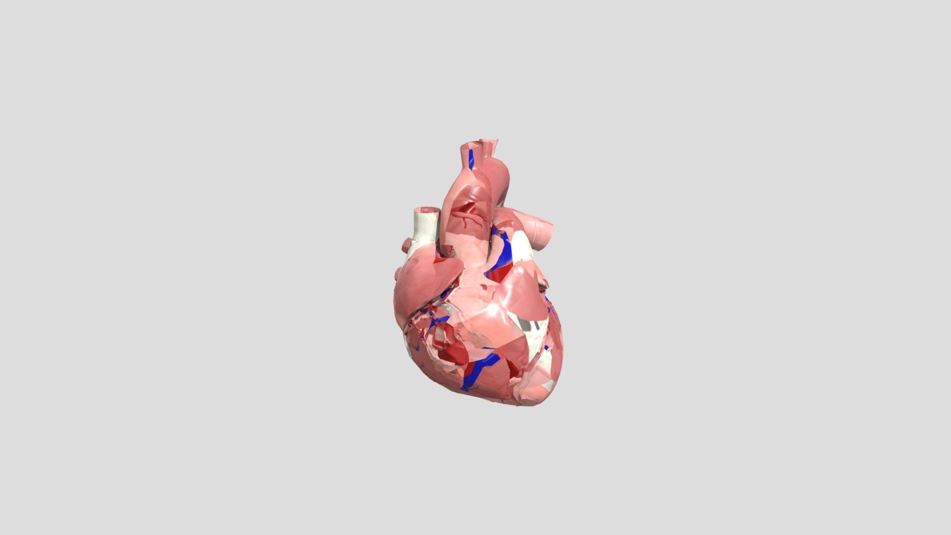 Beating heart - 3D model by Abstrakt / Guero (@thespotuy) [99395f2 ...