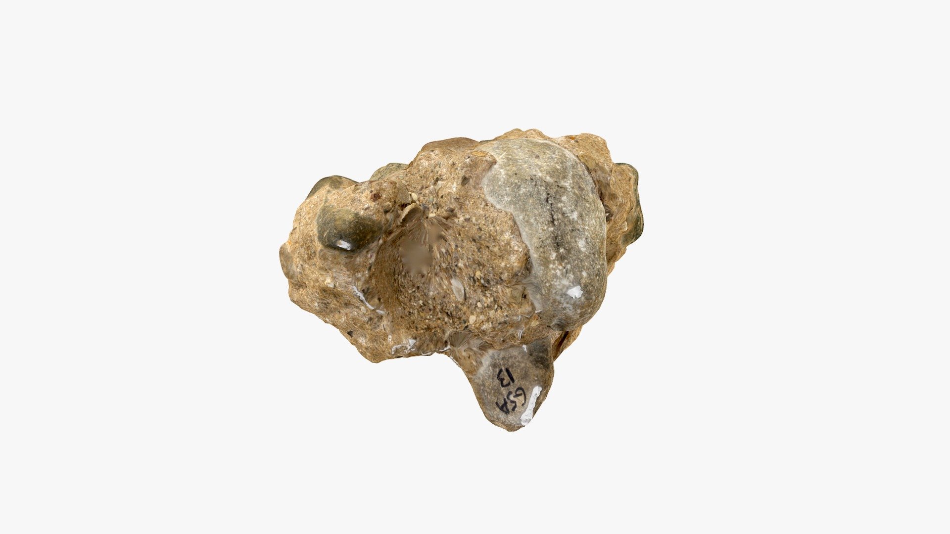 Sedimentary Sample