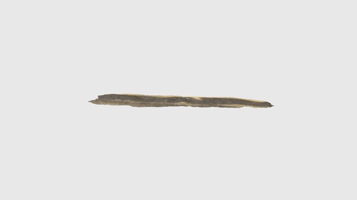 Gravel beach cusps Dunwich 3D Model