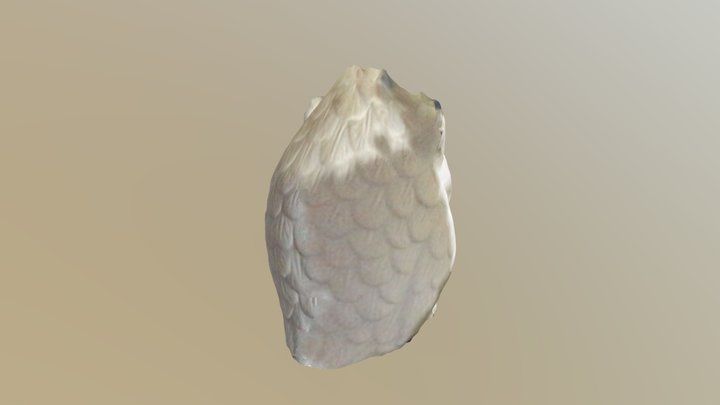 New Qlone 3D Model