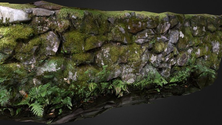 Wall in Japan 3D Model