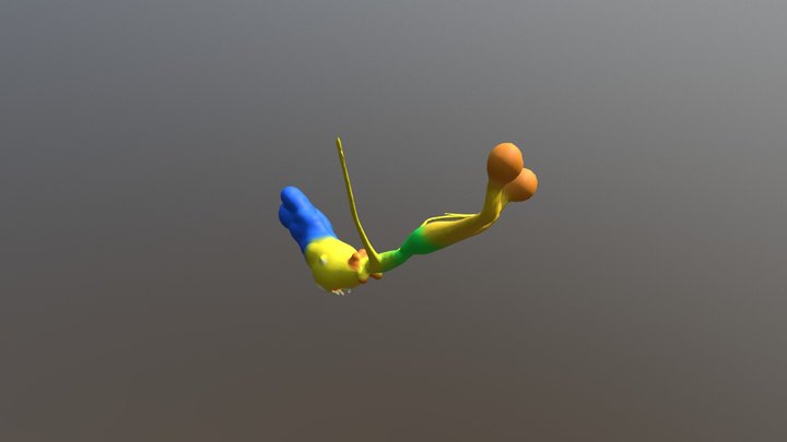 Margarino Simpsino 3D Model