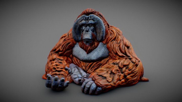 ORANGUTAN by CMW 3D Model