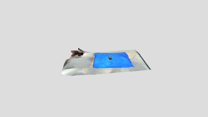 poly 3D Model