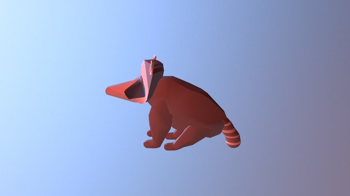 Raccon 3D Model