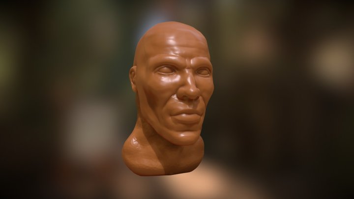 Blender sculpt test 3D Model