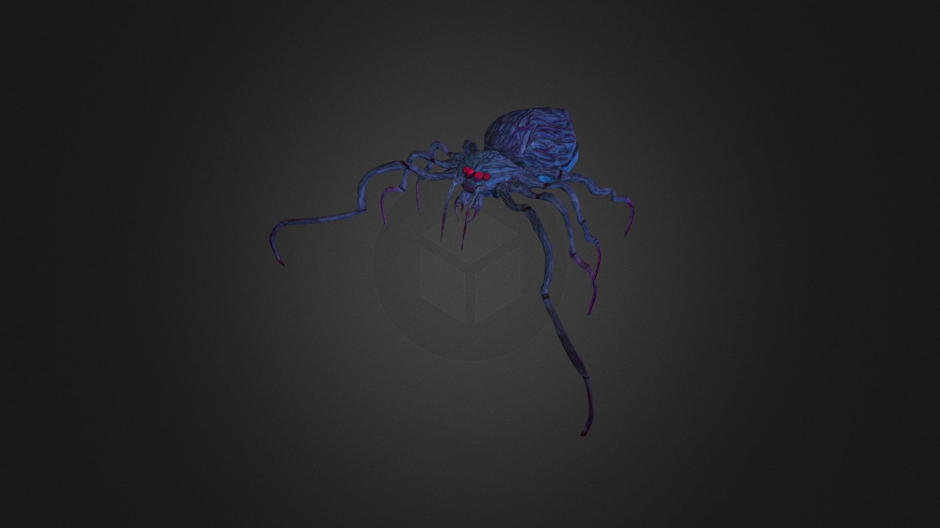 Spider