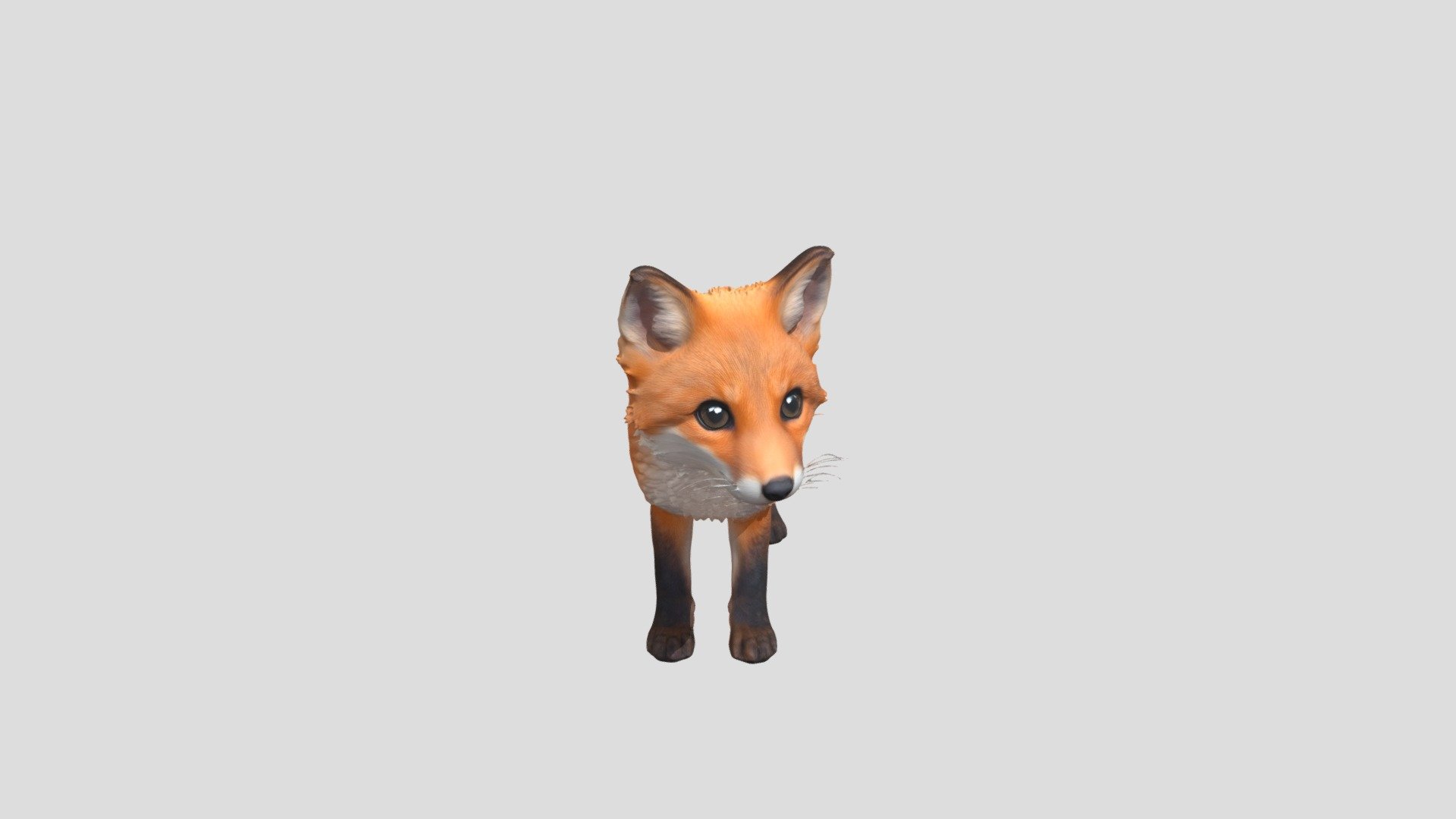 Curious Fox Kit - 3D model by ser240 [99508f6] - Sketchfab