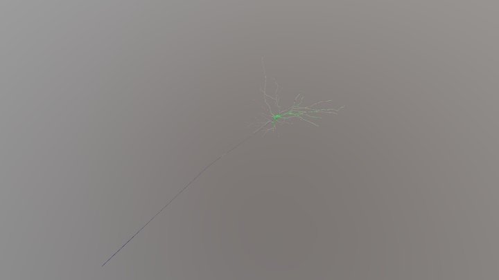 Hippocampal Pyramidal Neuron 3D Model