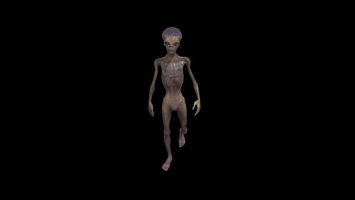 GameReadyCharacter_Day08_GreyAlien004 3D Model