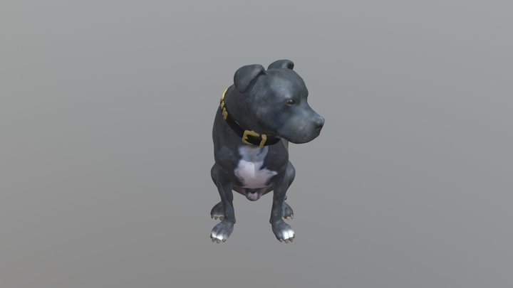 1803015-Muttley-Staffordshire Bullterrier-sittin 3D Model