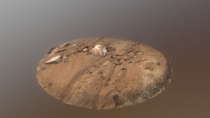 sand/lanshaft_17k_face 3D Model