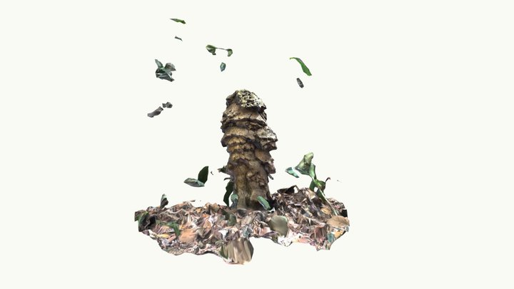 Flying bob - habitat 3D Model