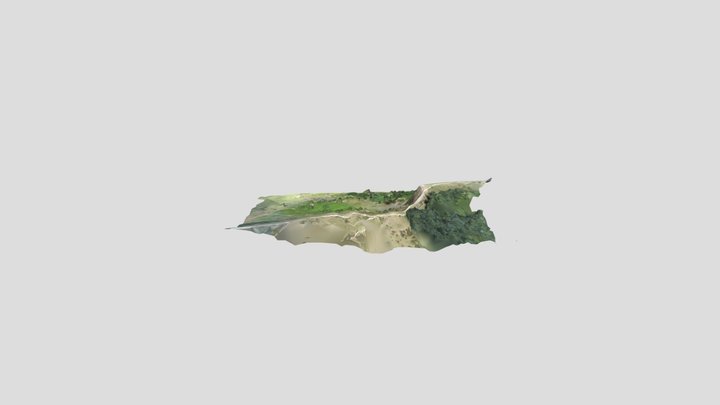 Back Tor 3D Model
