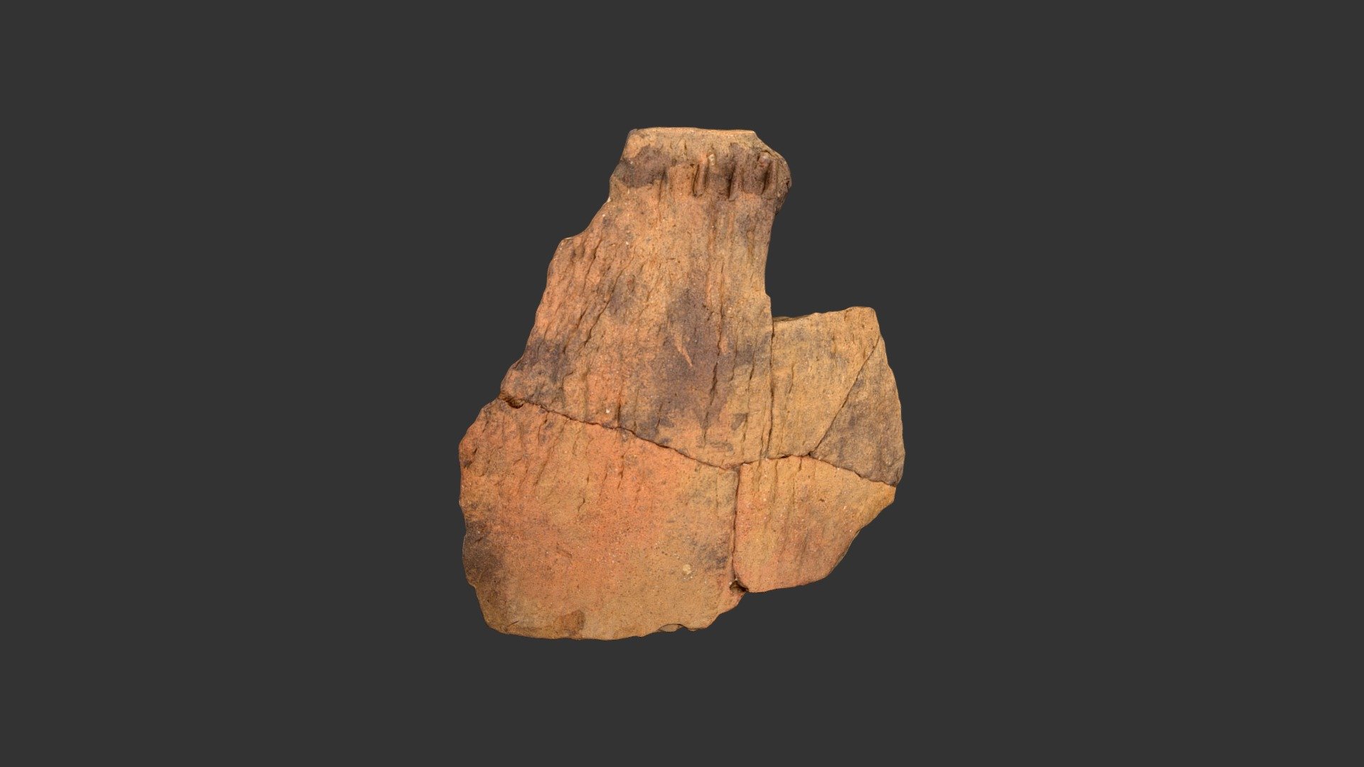 Uwharrie Cord Marked Jar Rim (2137p168)