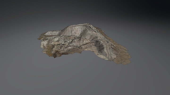 3D Oberflächenmodell einer Miete 3D Model