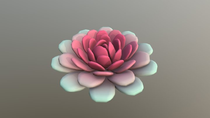 Succulent 3D Model
