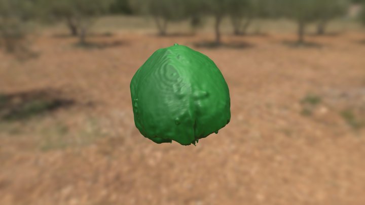 9631F Brain 3D Model