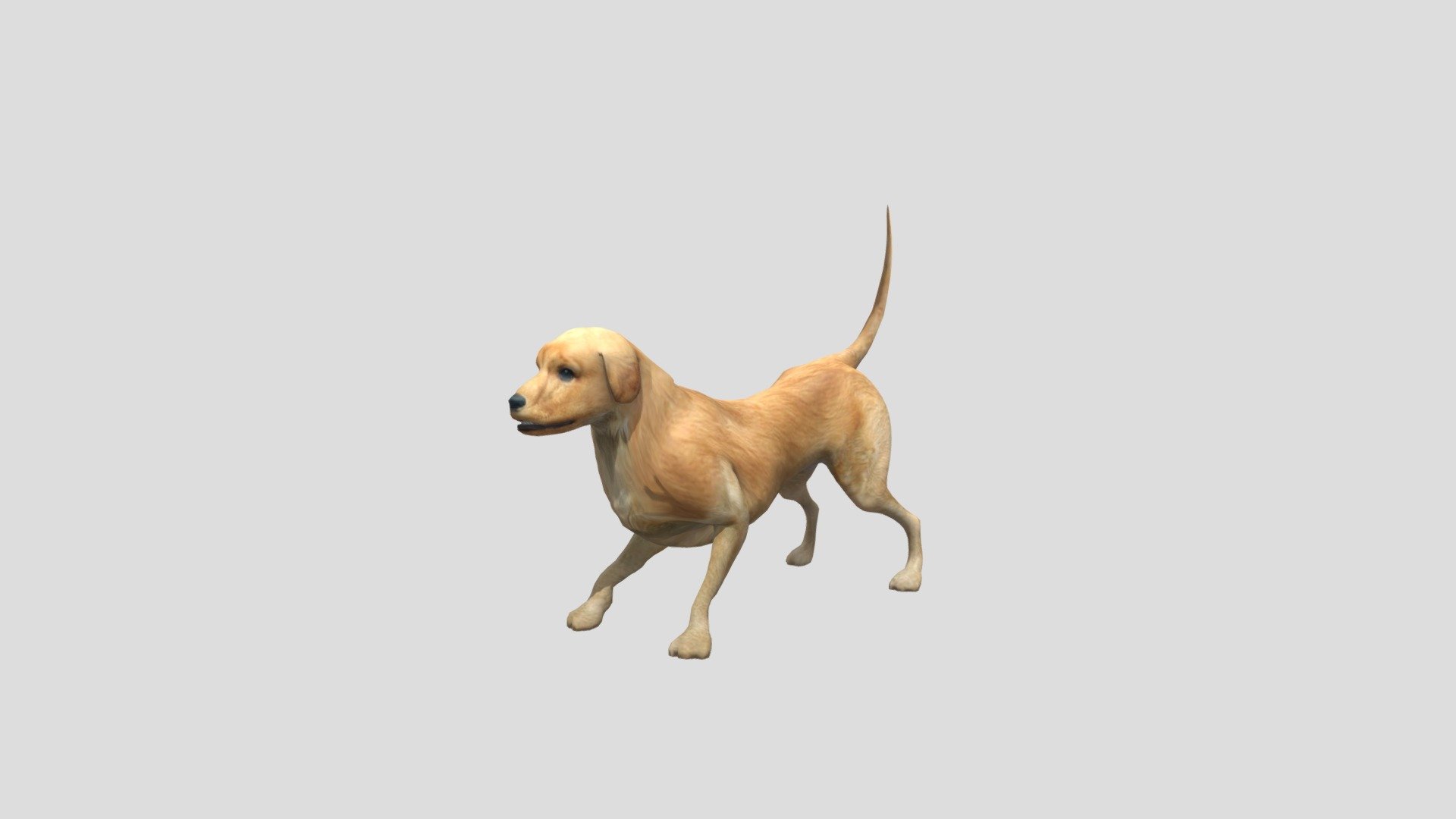 Golden Retriever Dog Download Free 3D Model By TriSams trisams Golden Retriever Dog Download Free 3D Model By TriSams trisams