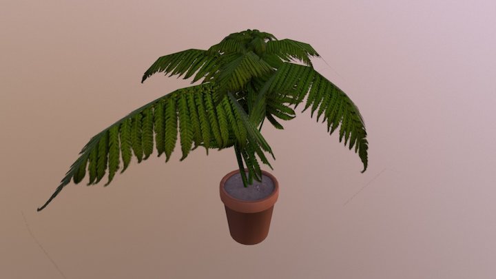 Pot Fern 3D Model