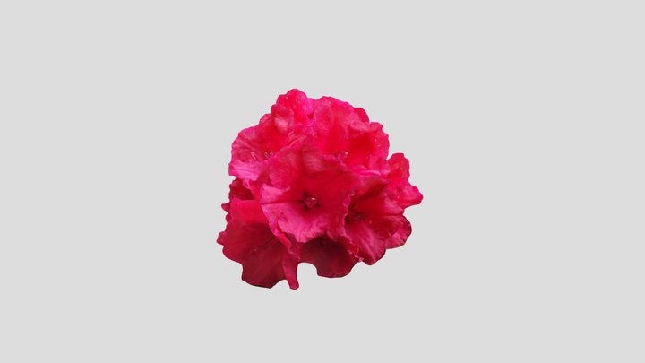 Rhododendron 4 Kiri with mask – Modèle 3D gratuit STL