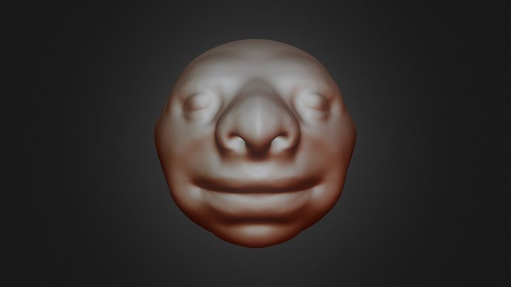 Face 3D Model