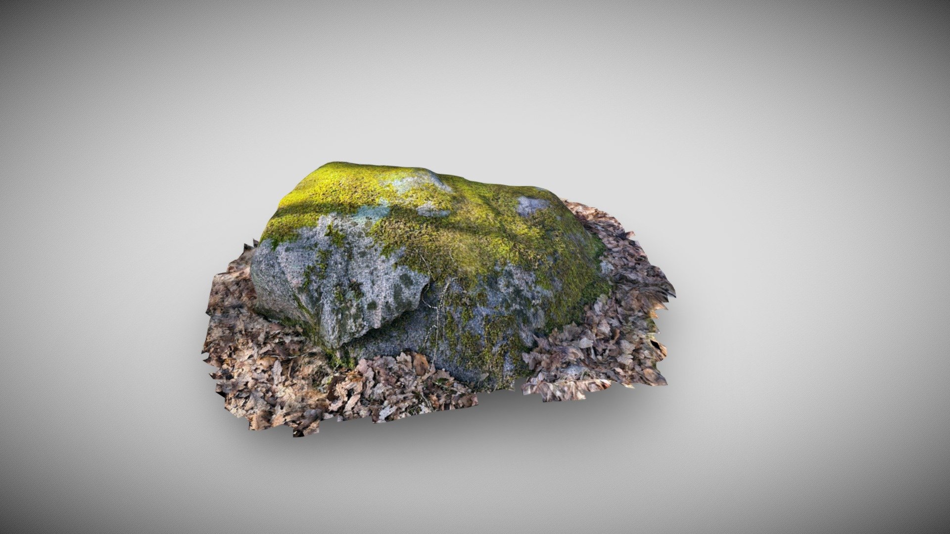 3D scanned rock