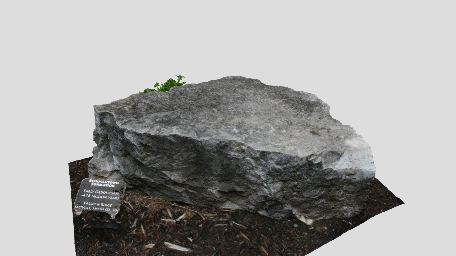 Rock Garden Sample Beekmantown Formation