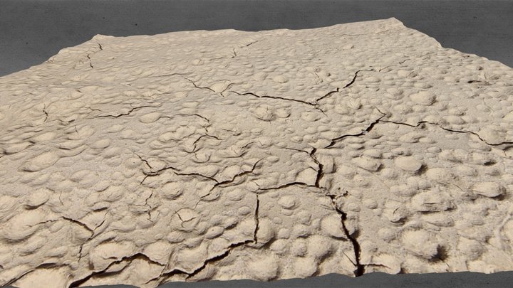 Raindrop Impressions 3D Model
