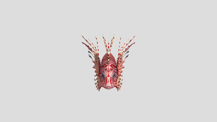 Elegant Spiny Lionfish 3D Model