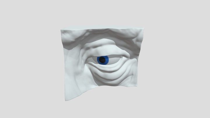 Face n' Eye Ball 3D Model