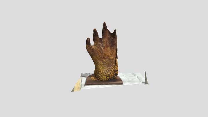 Croc Foot rear - Low details 3D Model