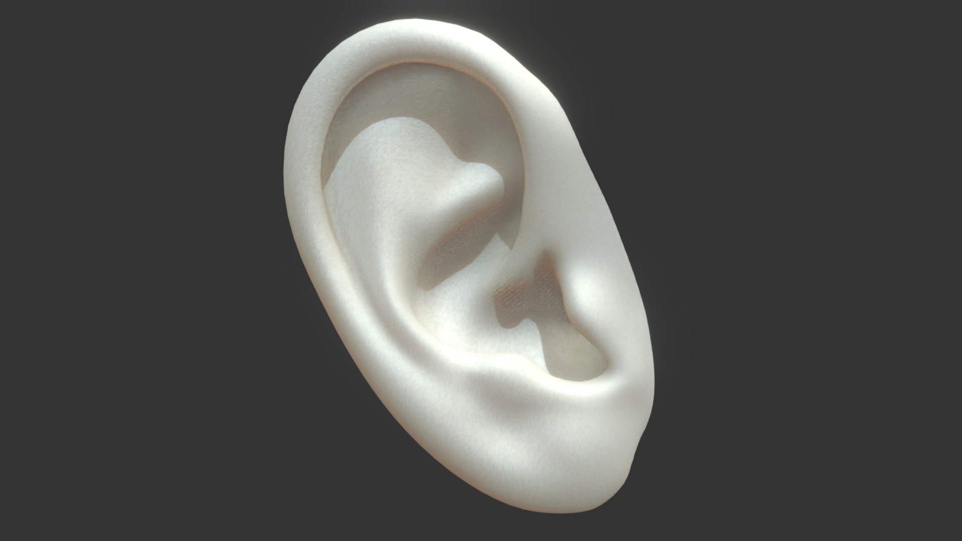 Ear - 3D model by Rihards Rudzitis (@rihardsrudzitis) [998bb93] - Sketchfab