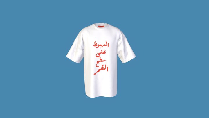 الهبوط على سطح القمر 3D Model