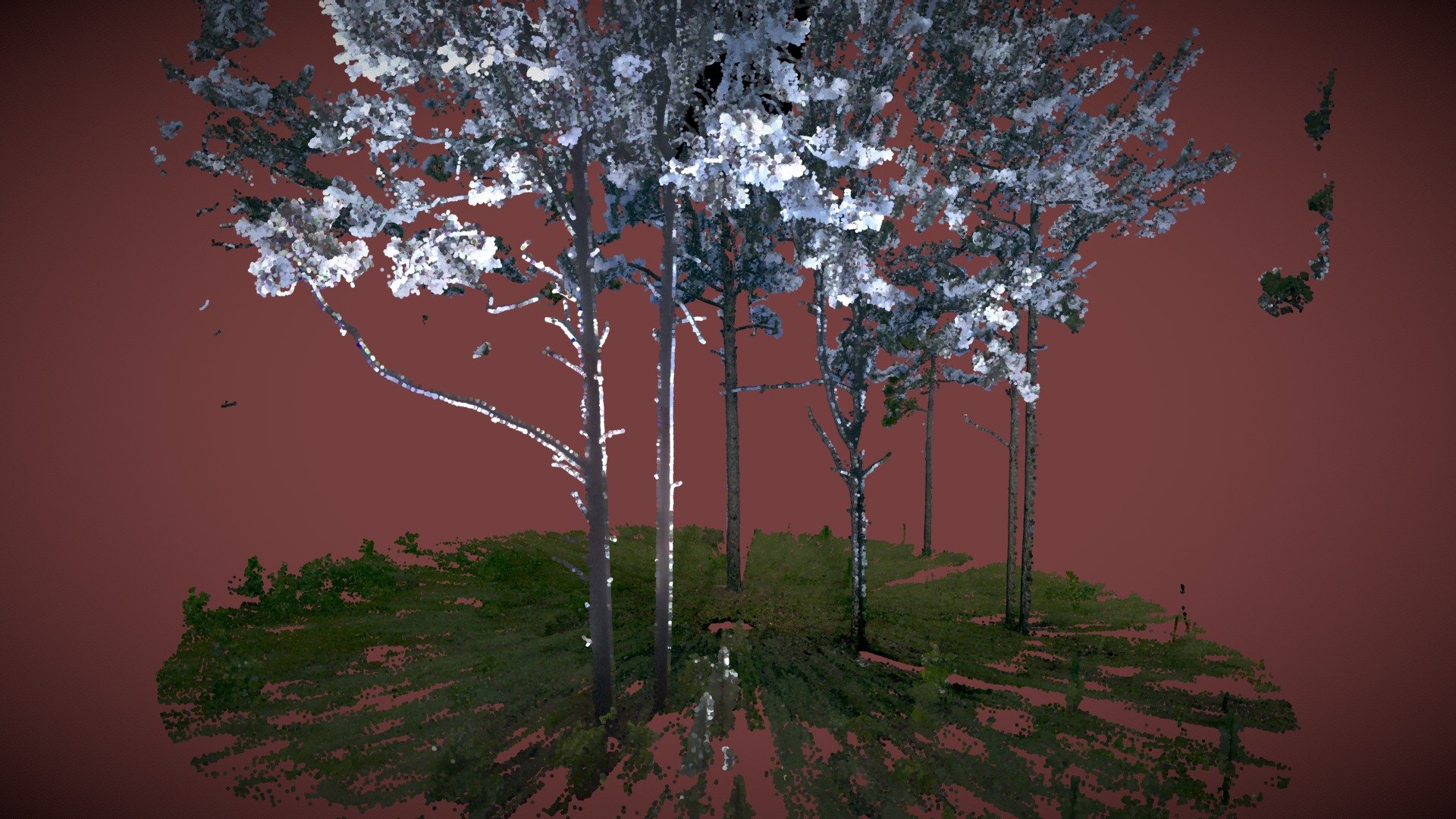 C21_Plot_66_cropped