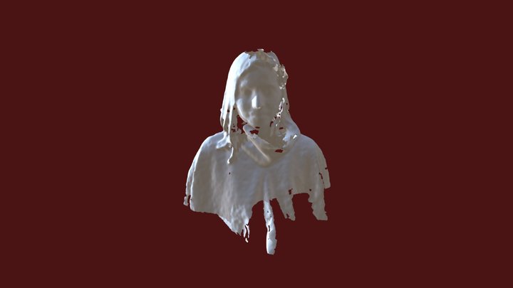 Erica 1 - 17 Junio 2018 3D Model