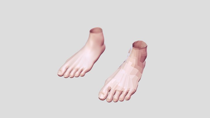 Low and High poly foots 3D Model