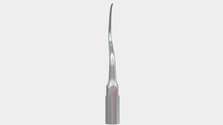 Tip-P1D 3D Model