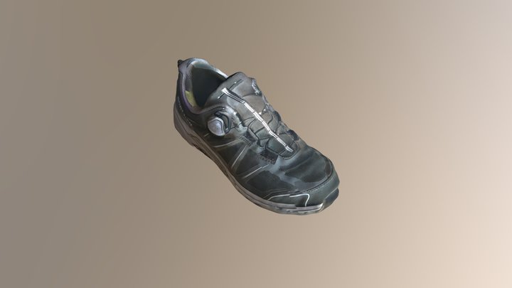 Walking shoes 3D Model