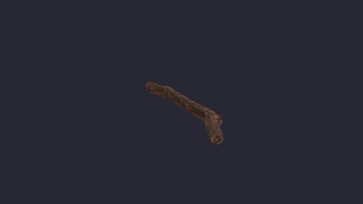 Log 6 3D Model