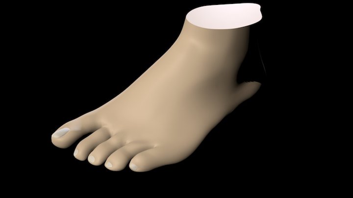Foot, balline and 3 points 3D Model