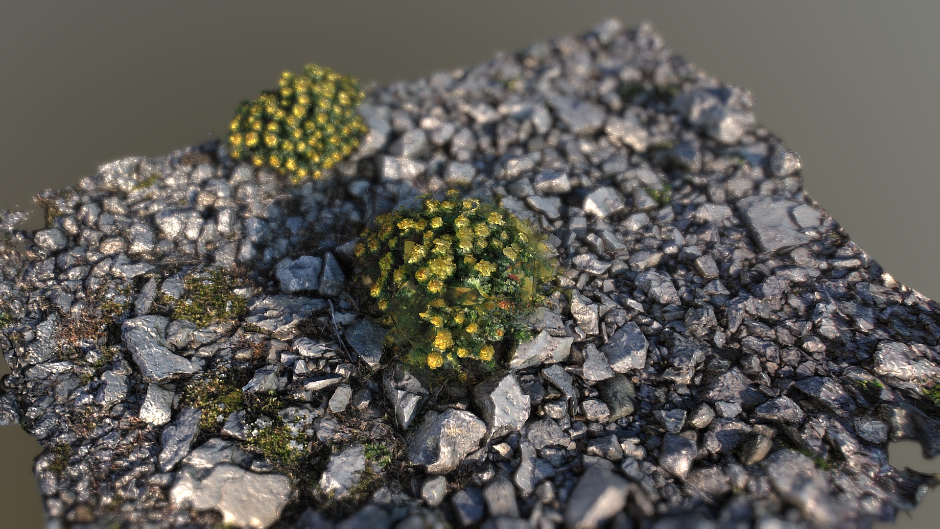 3D model Flower - This is a 3D model of the Flower. The 3D model is about a group of small yellow flowers.