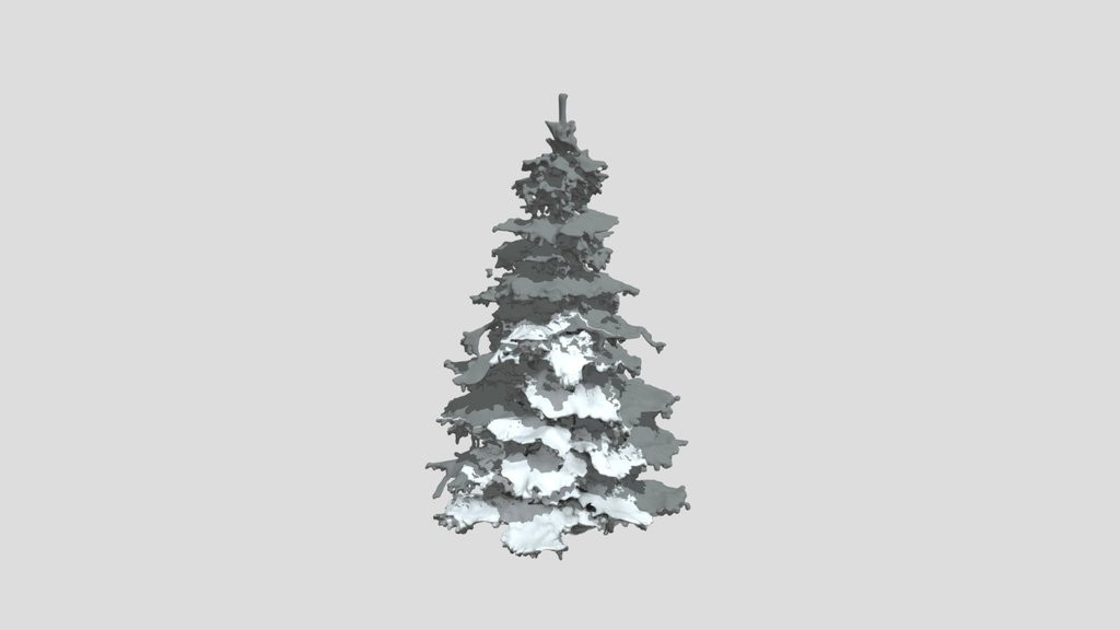 Meshy_AI_____ Snowy_____ Pine_0422103156_texture
