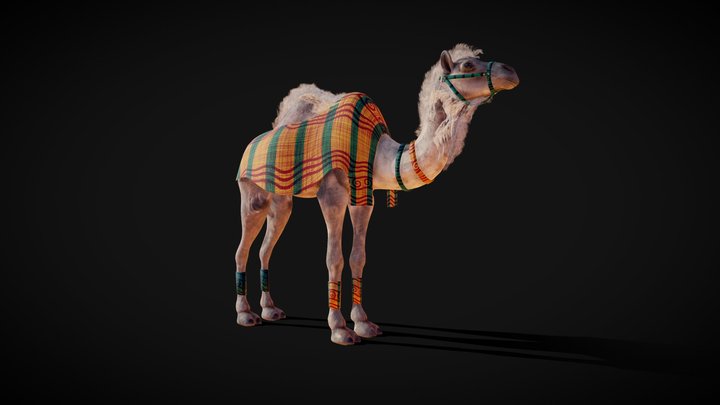 Camel 3D Model