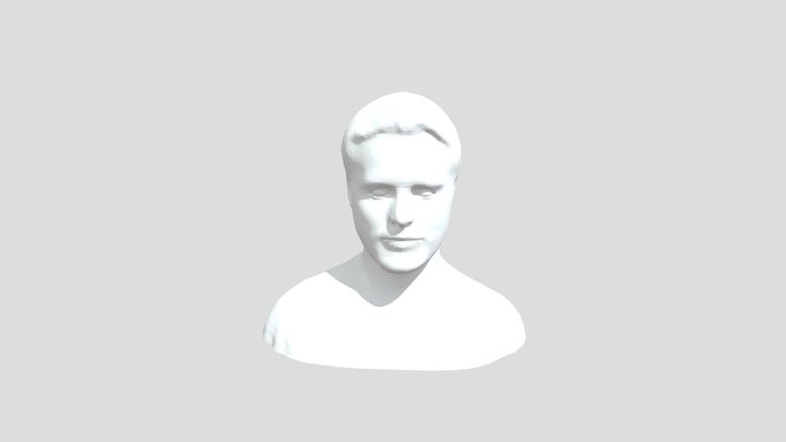 boy face 3D Model