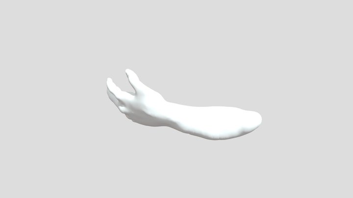 Left Hand Model 2021 3D Model