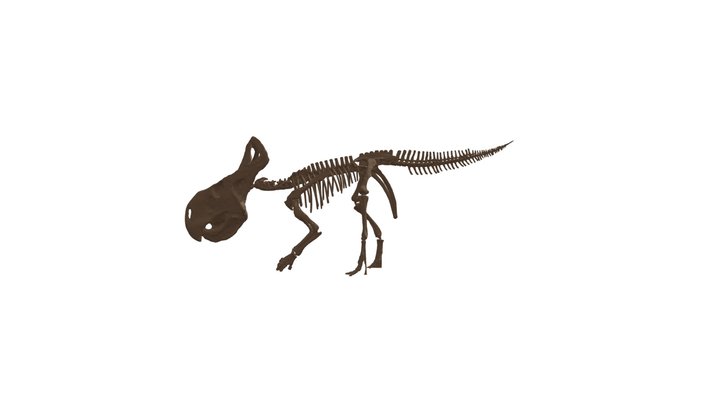 恐龙 3D Model