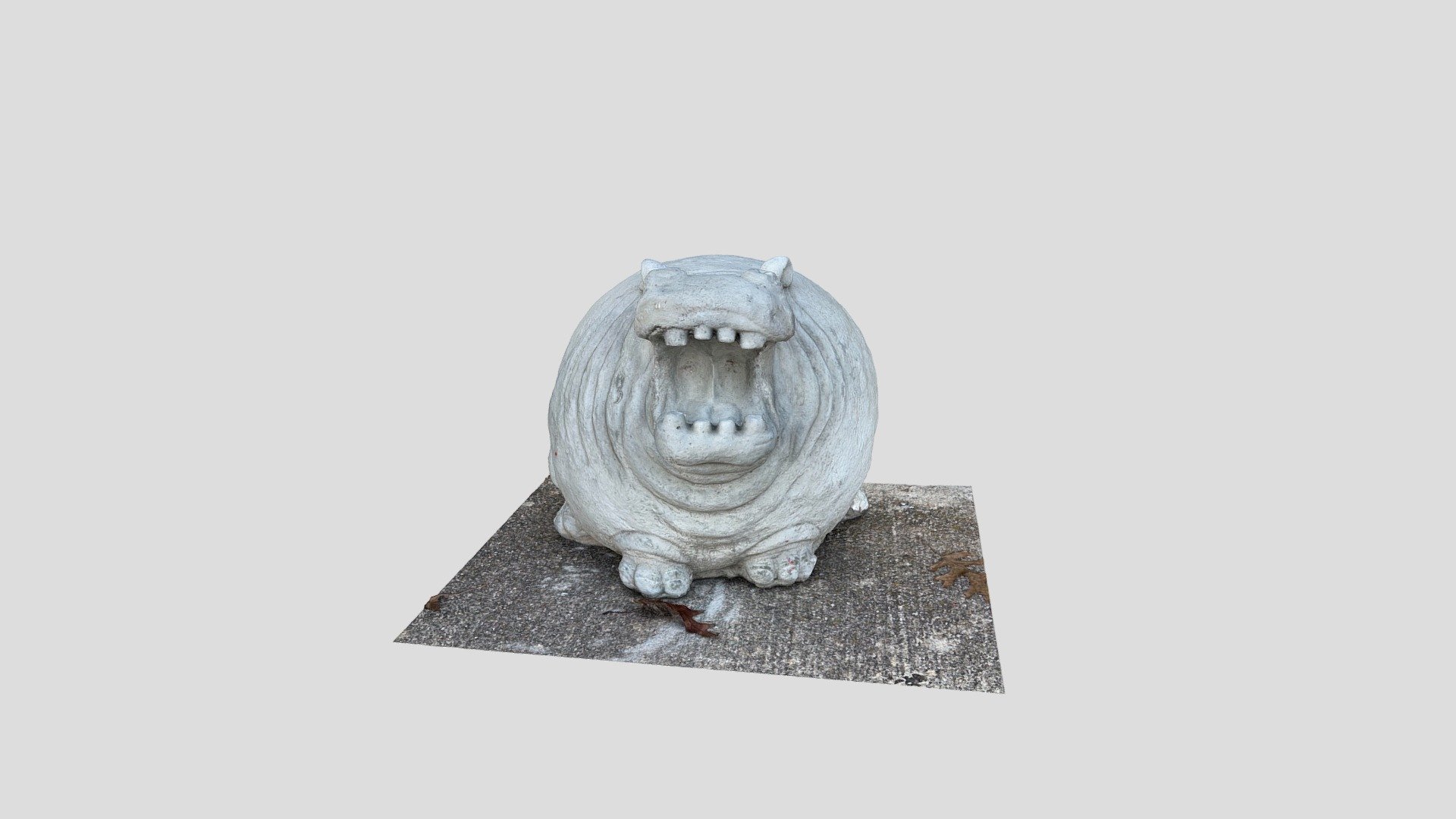 Hutto Hippo Higher res