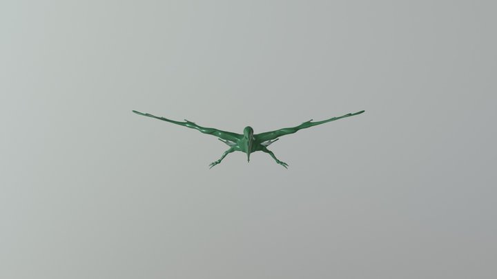 Ave Mariposa 3D Model