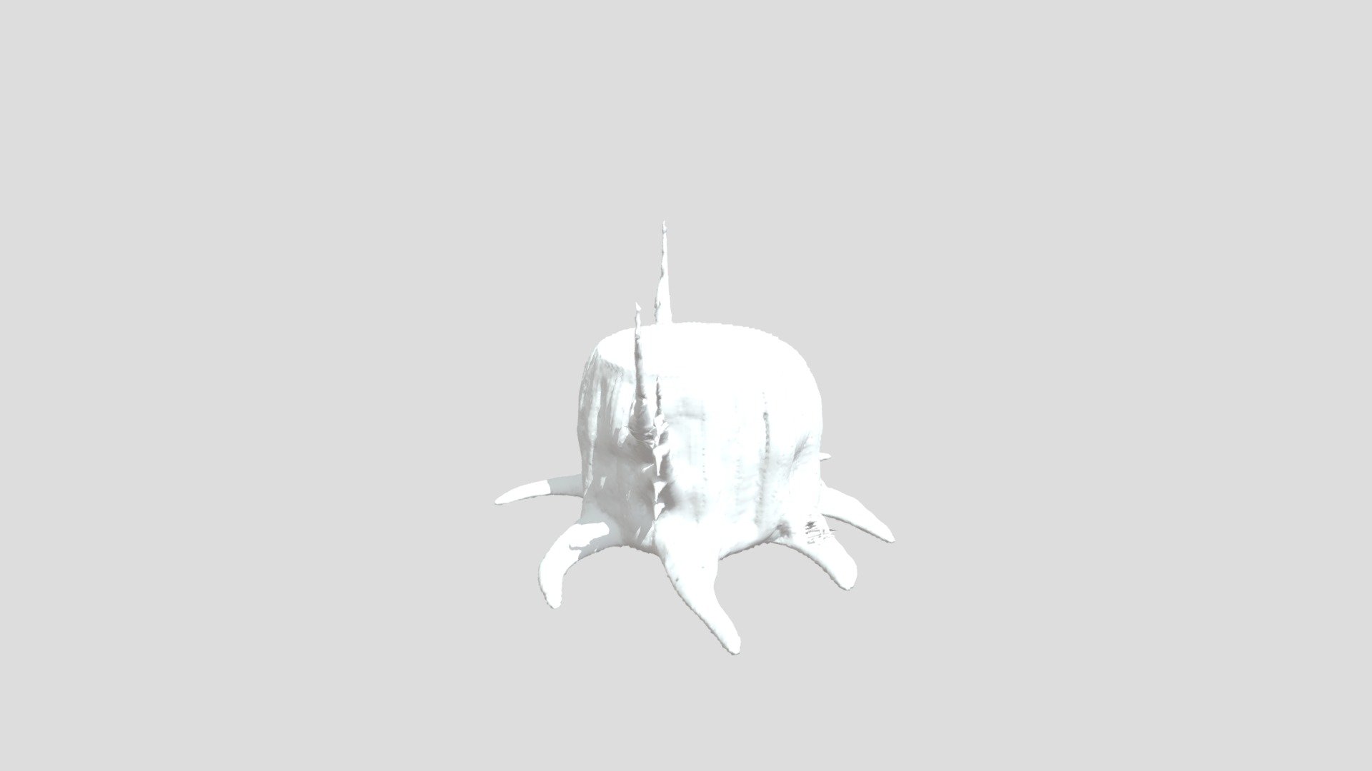 Chavez Treestomp 3 04